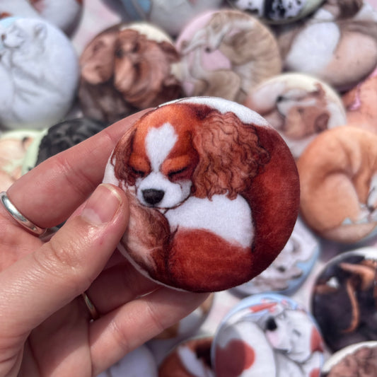 Paws & Dreams Plush Pin | Cavalier