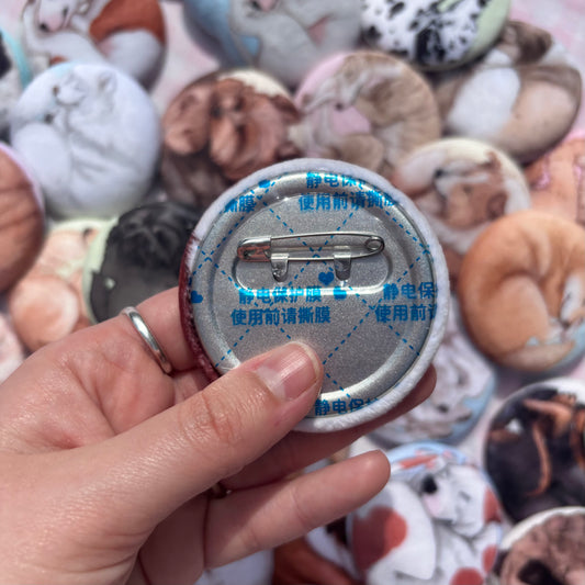 Paws & Dreams Plush Pin | Cavalier