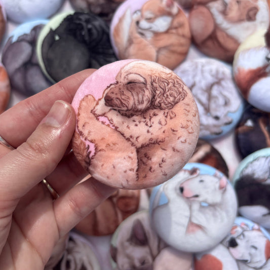 Paws & Dreams Plush Pin | Doodle