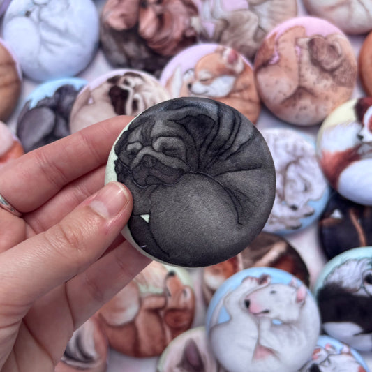 Paws & Dreams Plush Pin | Pug