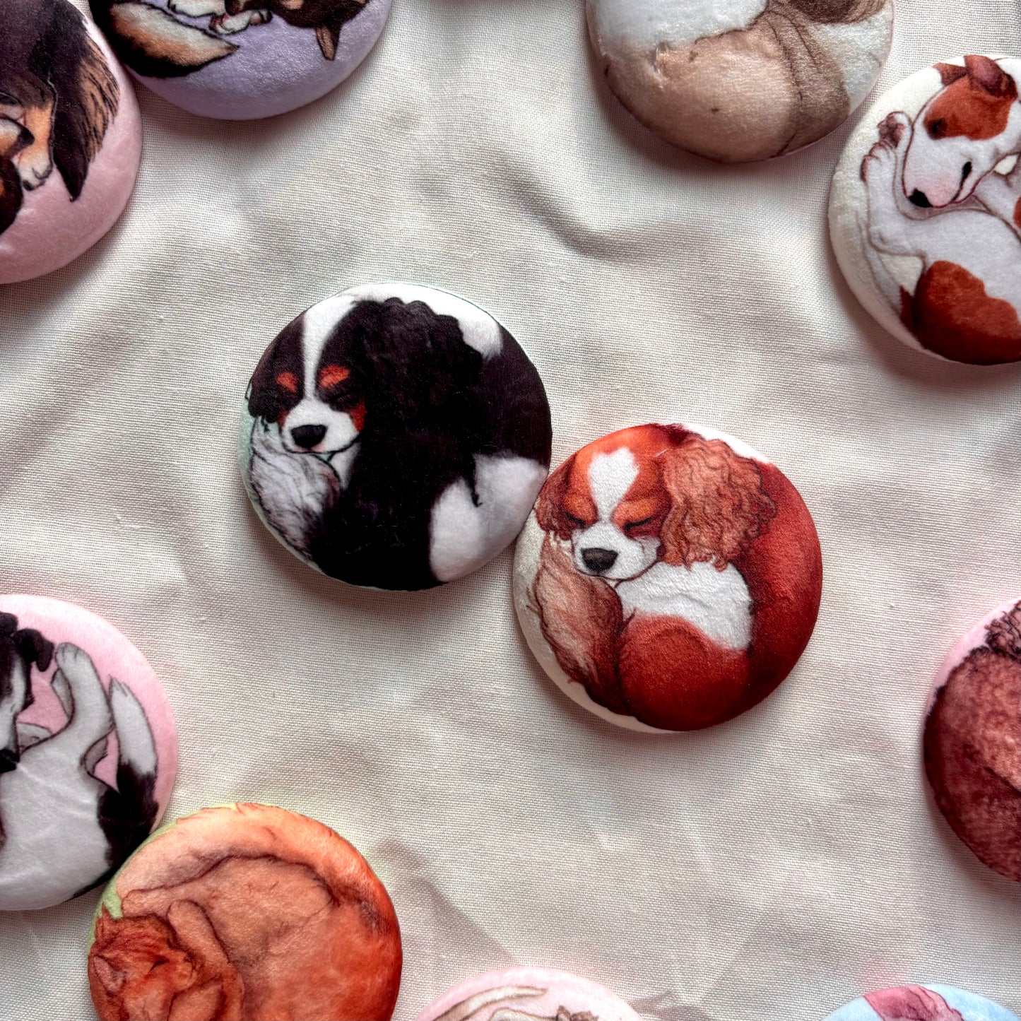 Paws & Dreams Plush Pin | Cavalier