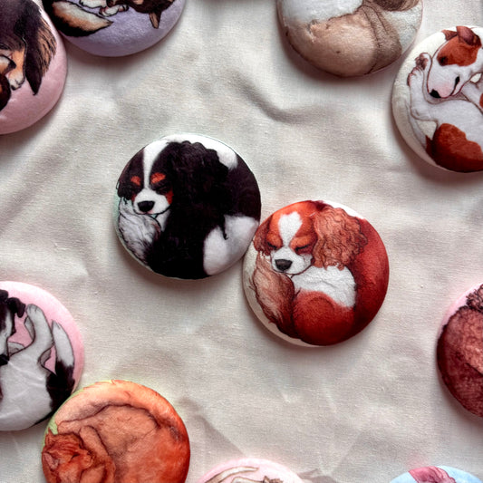 Paws & Dreams Plush Pin | Cavalier