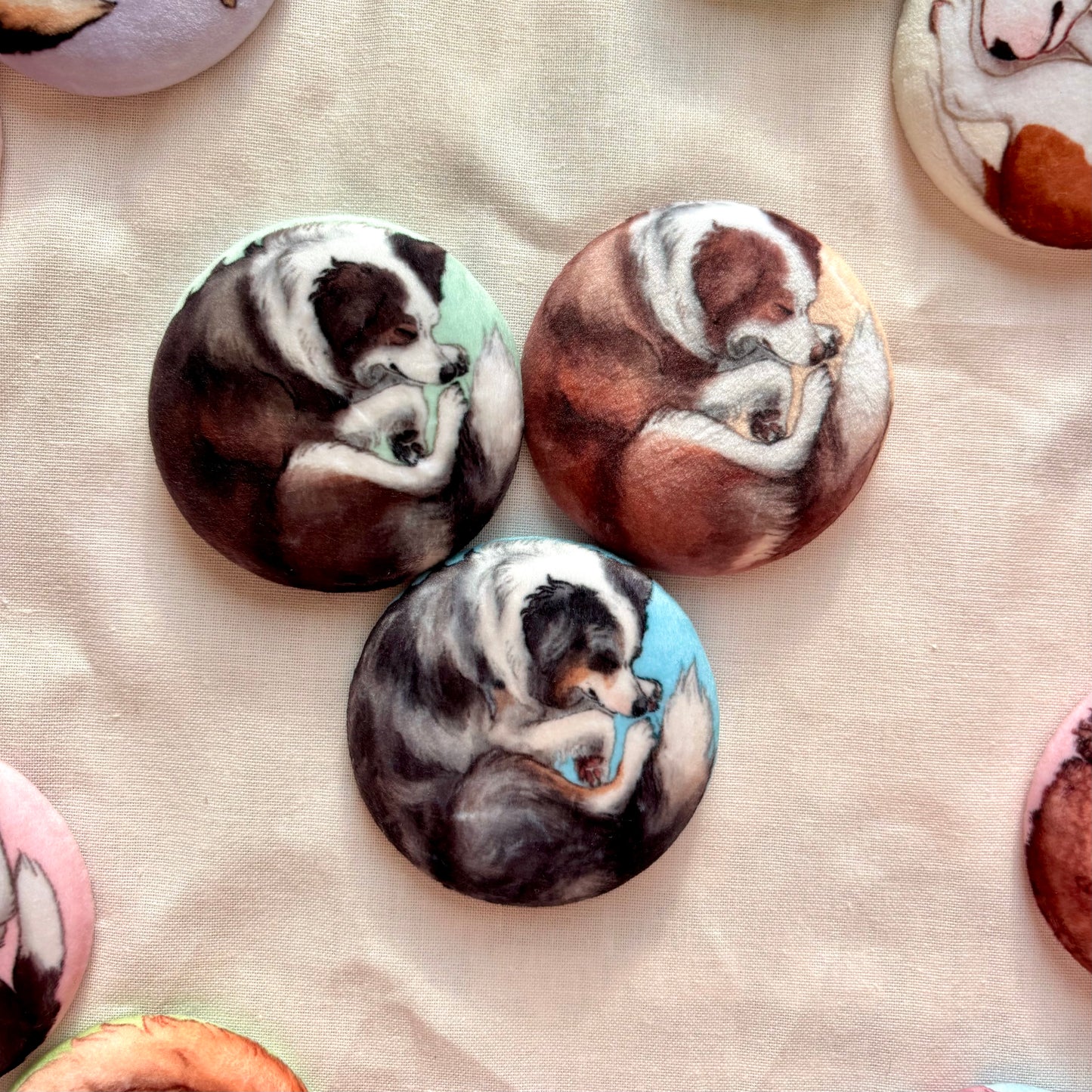 Paws & Dreams Plush Pin | Border Collie