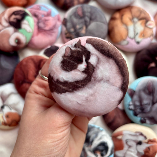 Paws & Dreams Plush Pin | Ragdoll