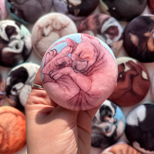 Paws & Dreams Plush Pin | Sphynx Cat