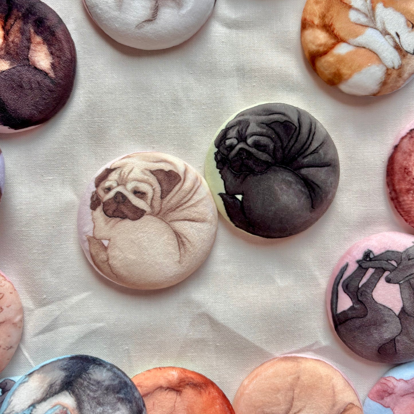 Paws & Dreams Plush Pin | Pug