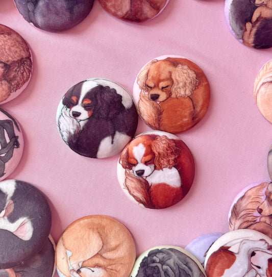 Paws & Dreams Plush Pin | Cavalier
