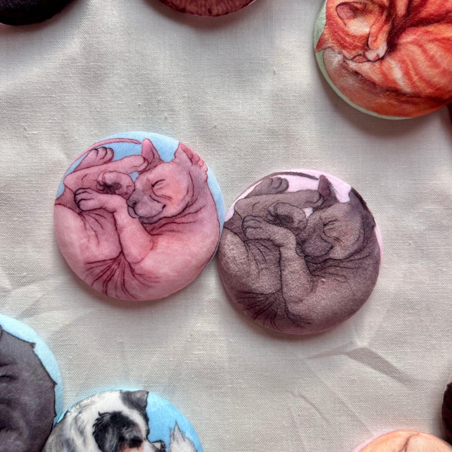 Paws & Dreams Plush Pin | Sphynx Cat