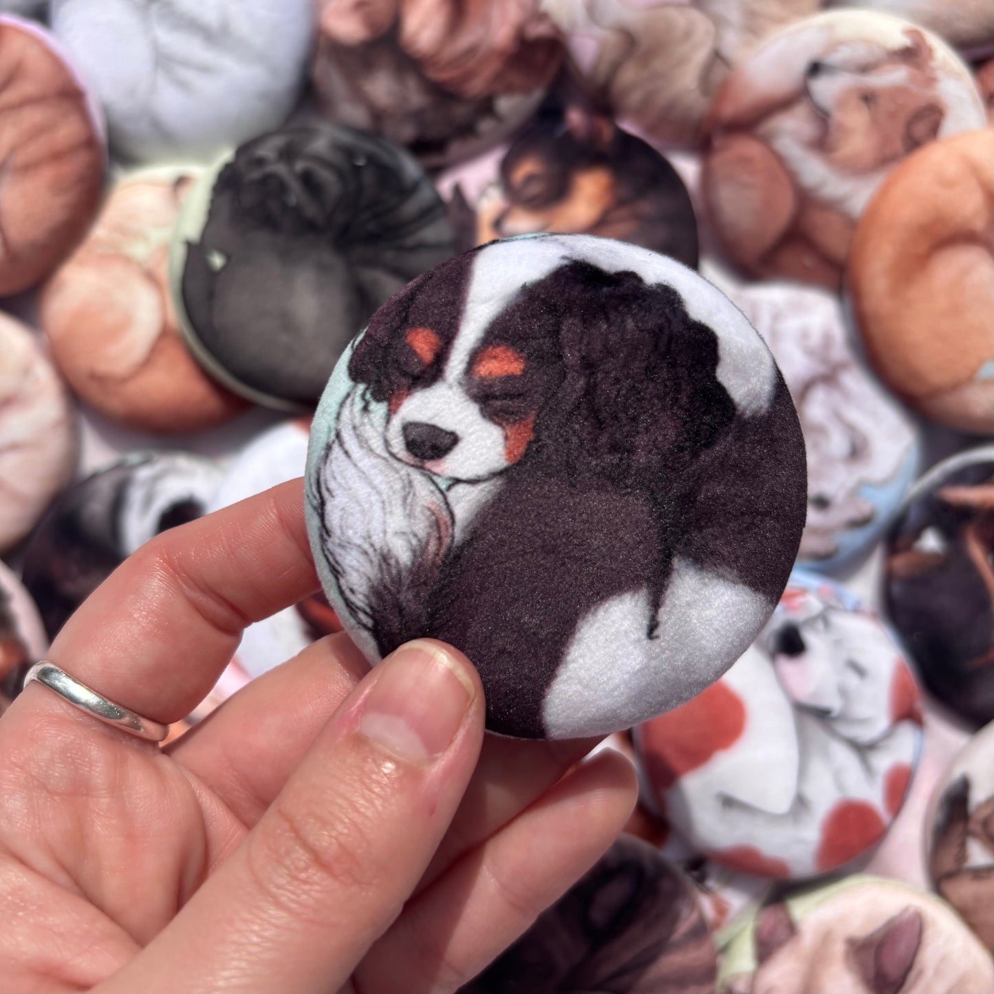 Paws & Dreams Plush Pin | Cavalier