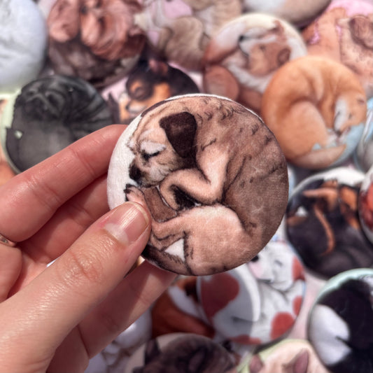 Paws & Dreams Plush Pin | Border Terrier