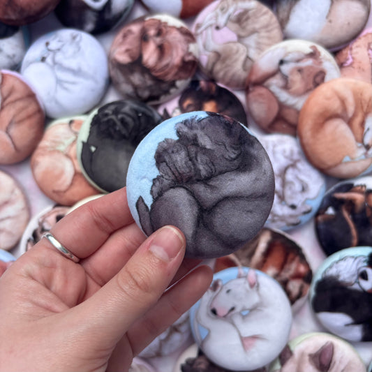 Paws & Dreams Plush Pin | Scottie