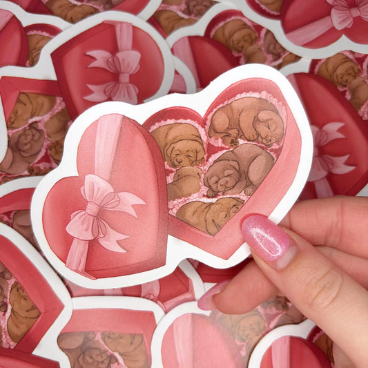 Valentine’s Day Box of Chocolates Labrador Puppies | Vinyl Sticker